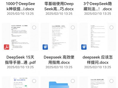 花了599和5个晚上熬夜整理的deepseek教程（各种指令版本都齐了）