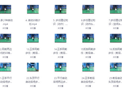 业界公认最强的羽毛球教学，李宇轩亲自指导，从步伐到杀球一气呵成！