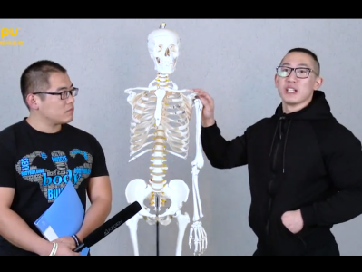 7500元付费VIP赛普健身私教专业教程，从饮食到各肌群训练，全方位把控！